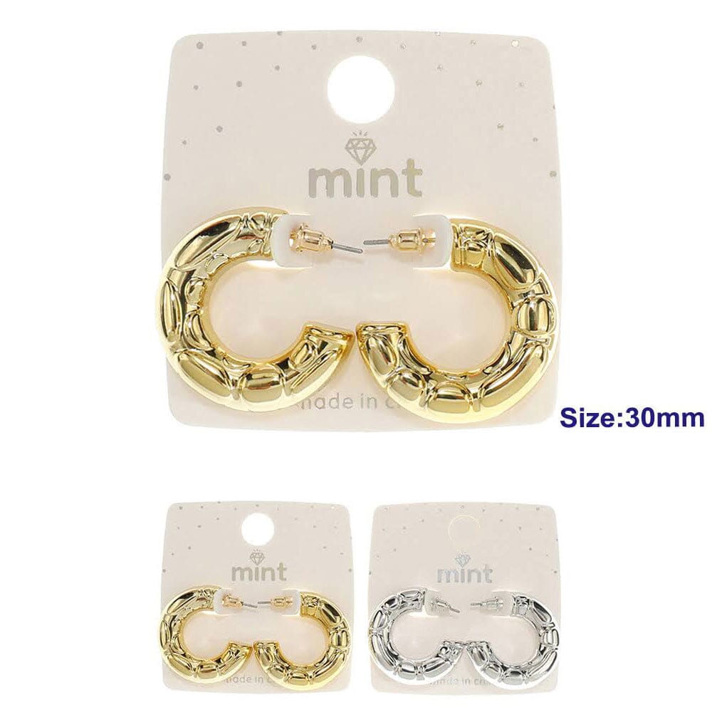 Fashion Hoop Earrings 46997 (12 units)