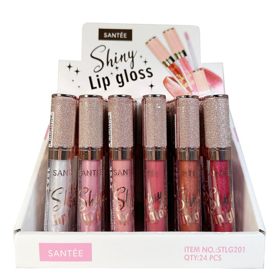 Shiny Glitter Lip Gloss 201 (24 units)