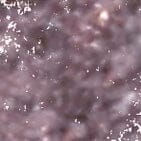 Statement Shimmer Liner - 008 SHIMMER TAUPE (3 units)